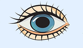 &#108;&#101;&#121;&#117;